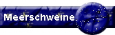 Meerschweine